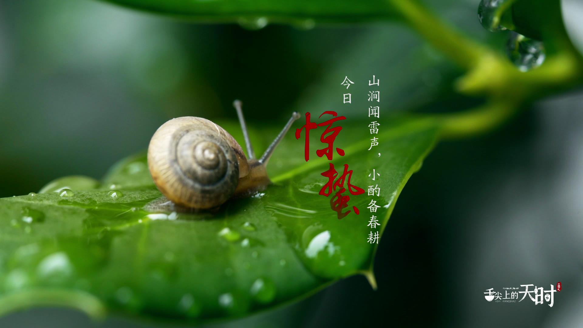 &#20048;&#40060;&#23448;&#26041;&#32593;&#39029;&#29256;&#45;&#108;&#101;&#121;&#117;&#40;&#20013;&#22269;&#41;